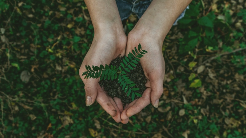 Vuelta a la tierra: la alimentación que te ayuda con los cambios del verano