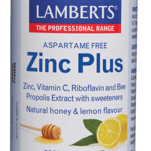 ZINC PLUS MASTICABLE 100com LAMBERTS